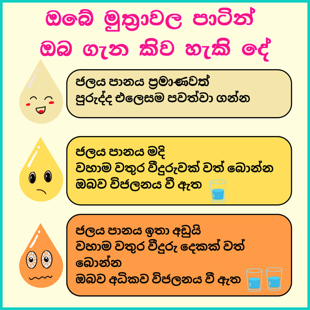 මුත්‍රා ගල් හැදෙන්නේ කොහොමද ?